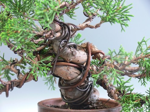 Quando não presenciamos os arames (amarras), achamos bonito.