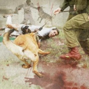 perros_de_guerra_hispantv.jpg_916636689