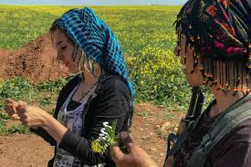 Djila Abdula em Rojava